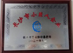 长沙市小巨人企业