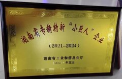 湖南省专精特新“小巨人”企业