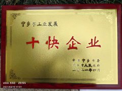 工业发展十快企业